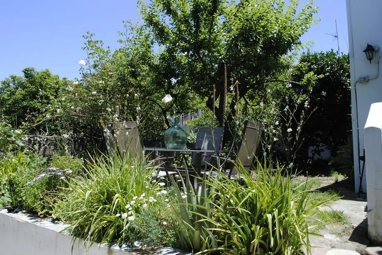 Villa El Castaño Las Palmas de Gran Canaria